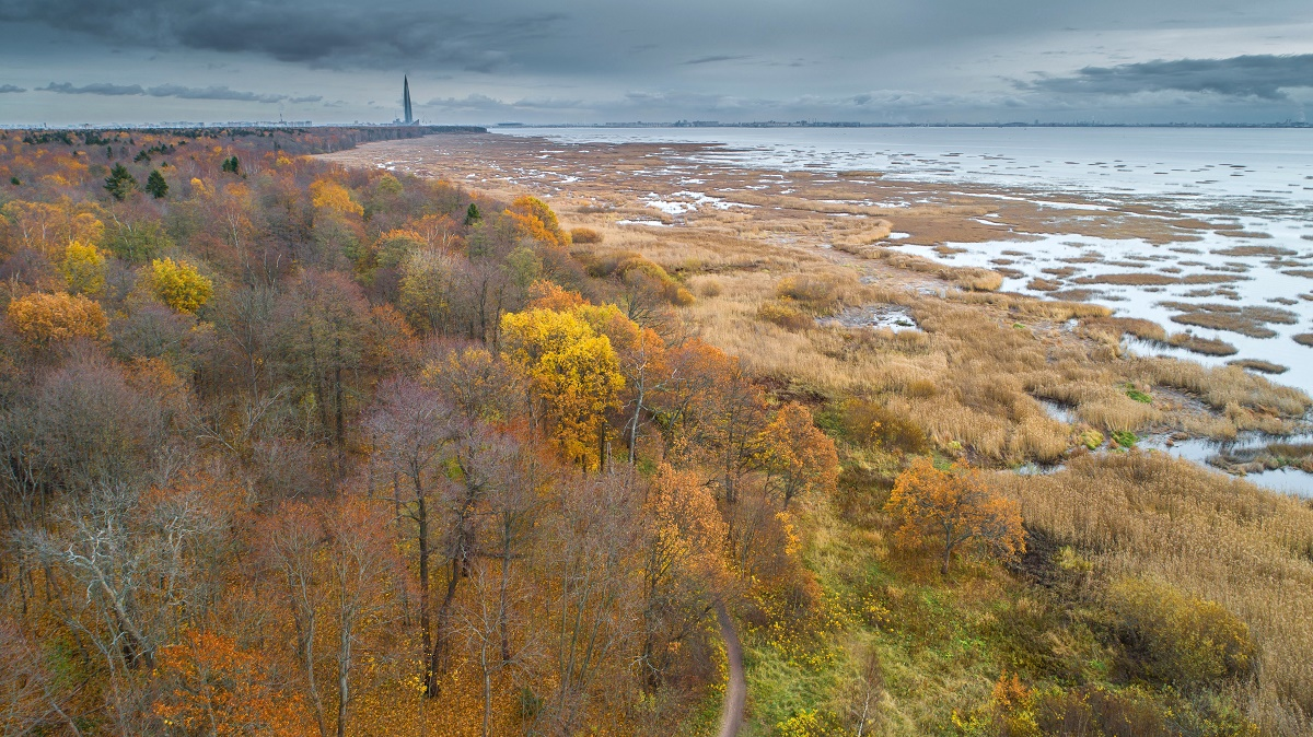 Фото Яндекс. картинки