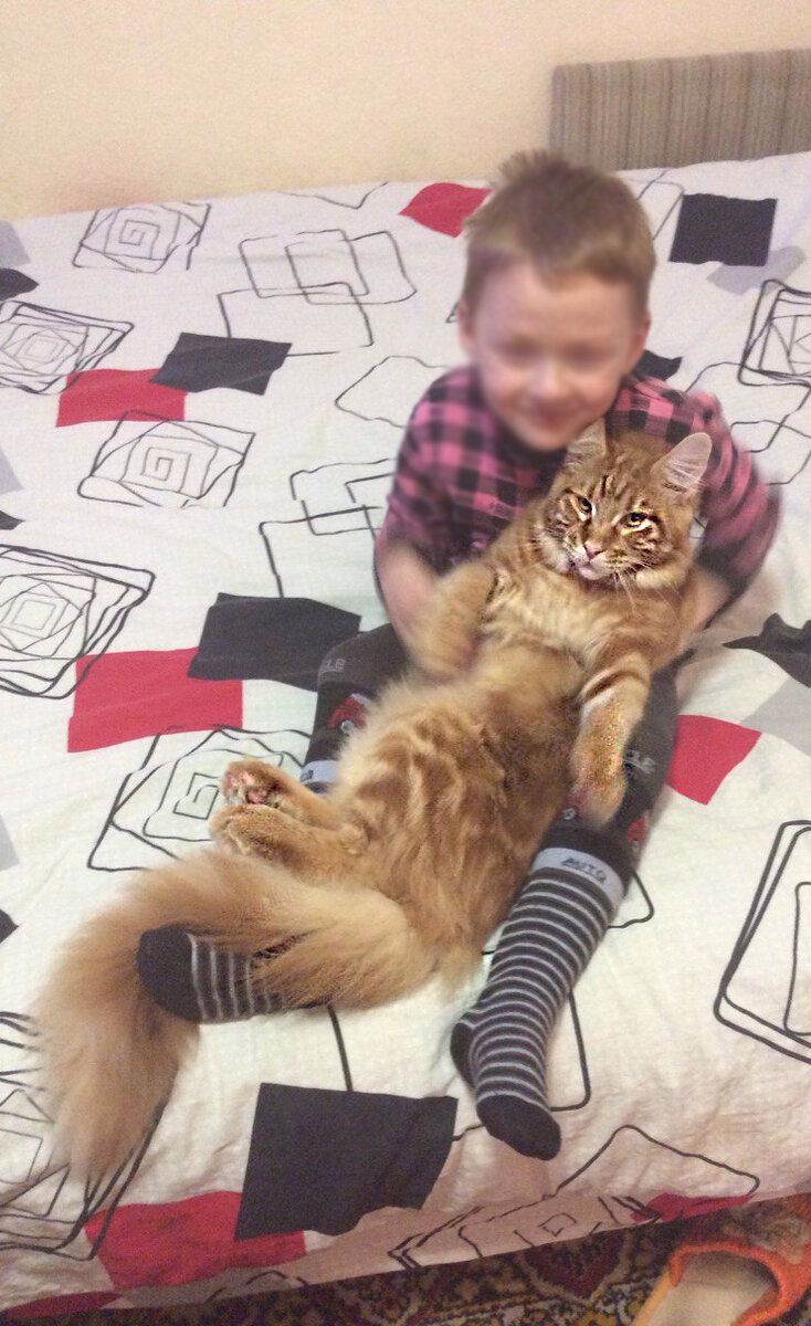 Тут Фариду Алексеевичу, по уверению Аллы, 4 месяца. Но лицо - как у матерого пенсионера-уголовника)))