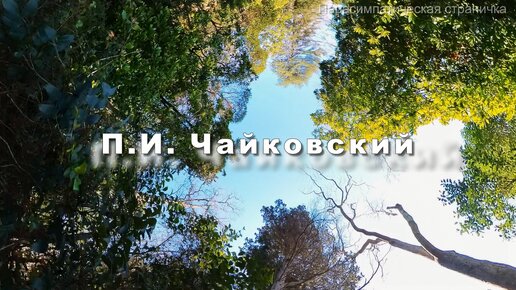 П.И. Чайковский Апрель. Музыка для души