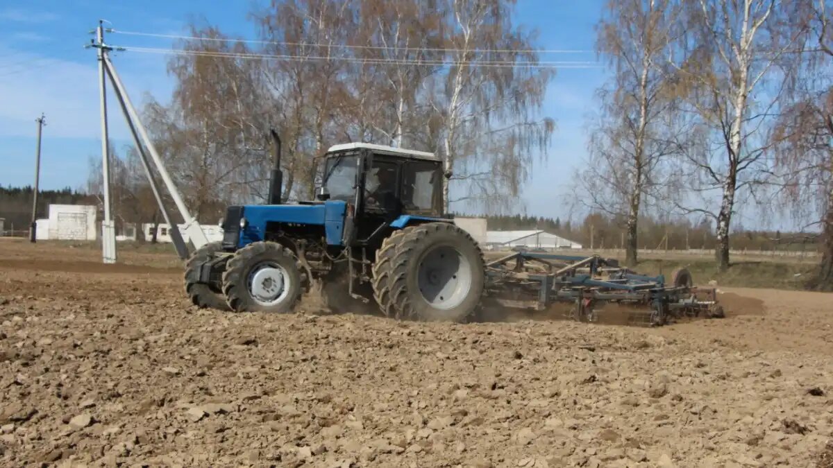 Фото:© Владимир Исаенко/Glavagronom.ru В агропромышленном комплексе Новосибирской области работают 25,39 тыс. человек