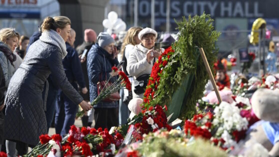    МЧС опубликовало список из 143 погибших при теракте в "Крокусе" Анастасия Романова