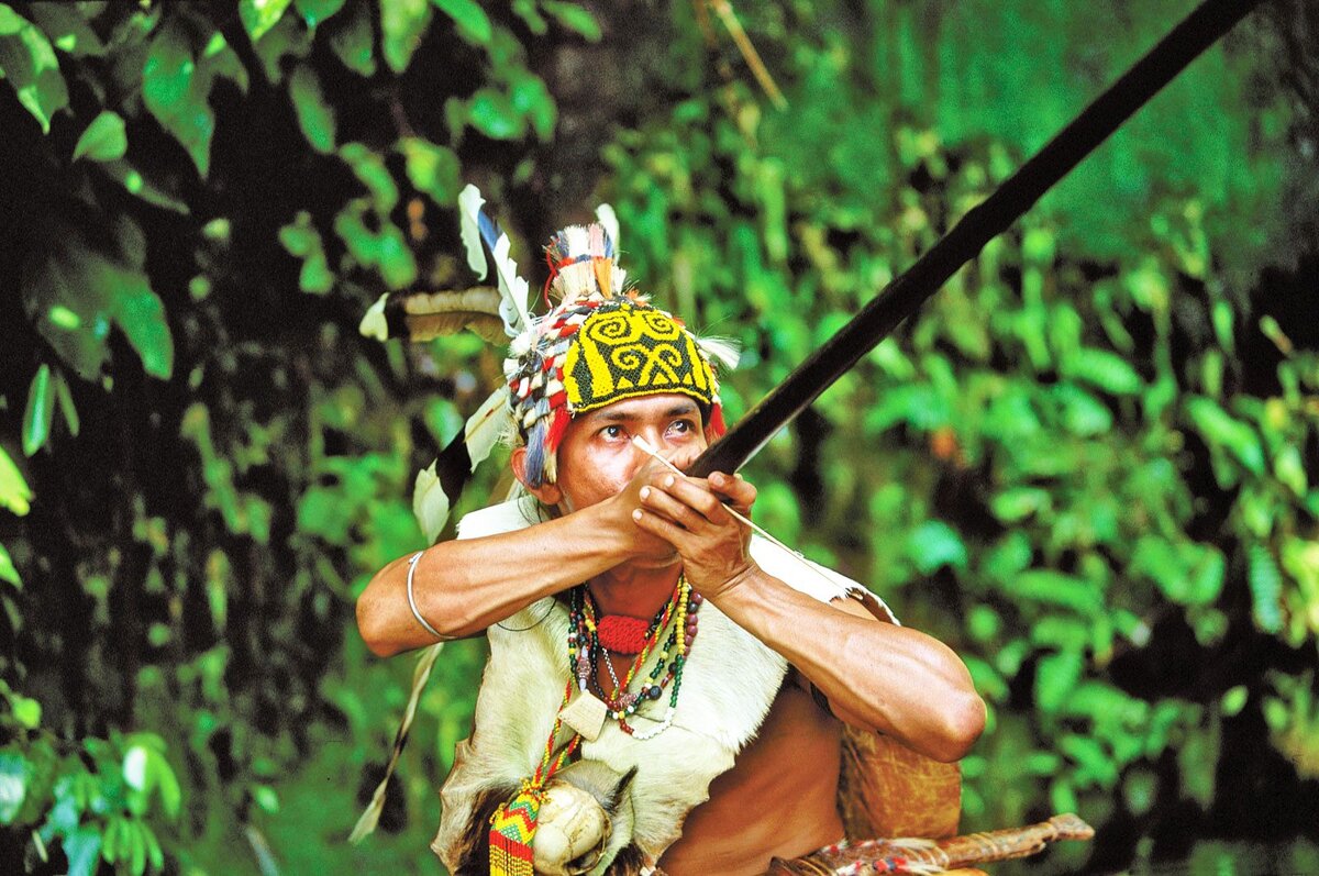 Фото взято из открытых источников.индеец с духовой трубкой.