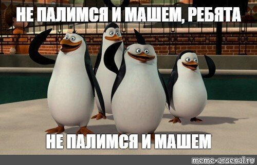 Изображение взято из открытых источников Яндекс Картинки