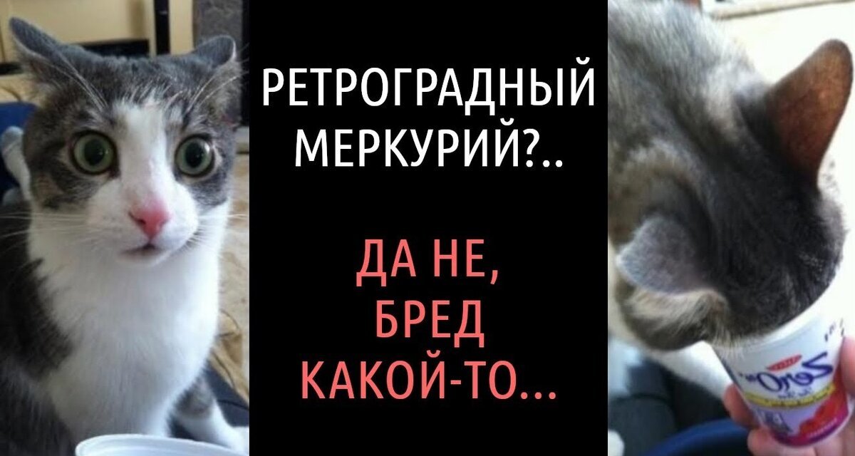 Фото взято из свободного доступа 