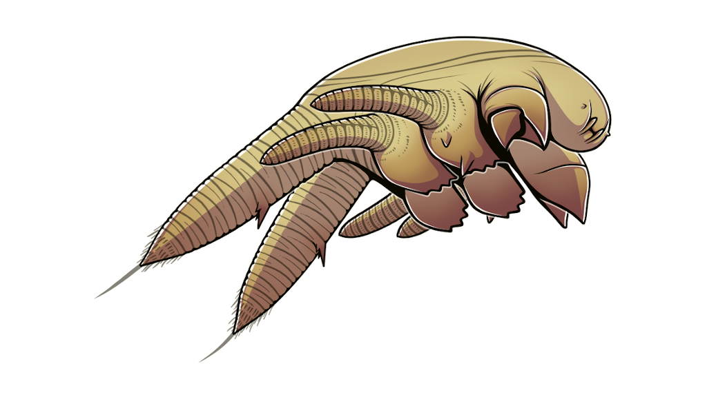 А вот девонские напоминали скорее клещей.