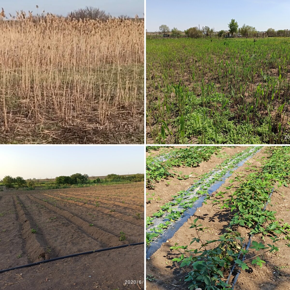 Как было и как стало спустя менее года