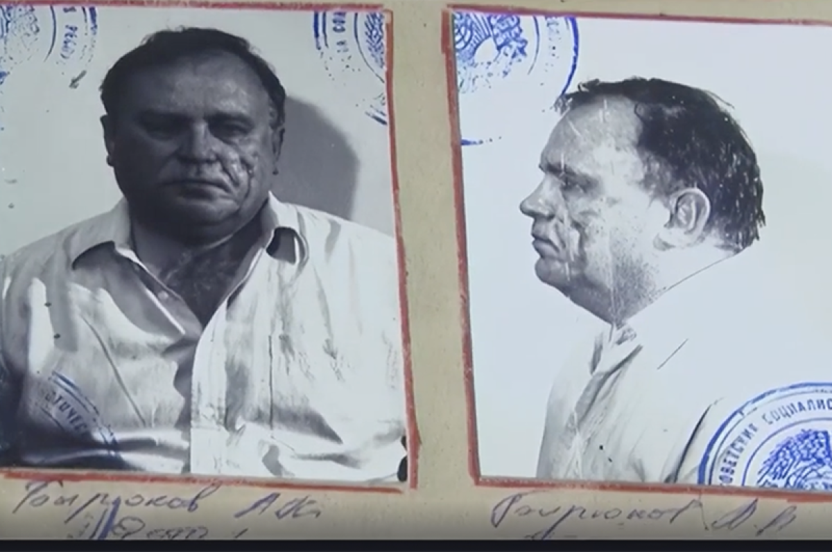    Анатолий Бирюков.