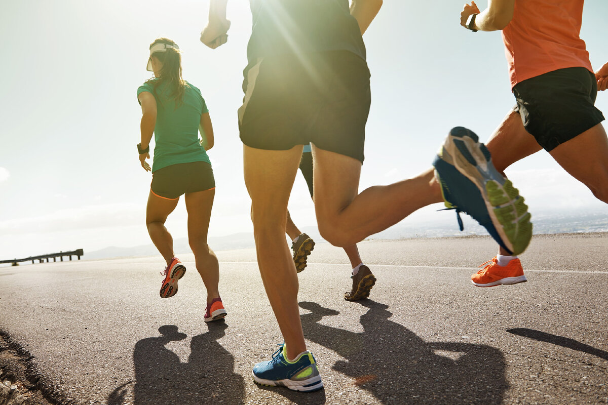 Источник фото: поисковая система yandex.ru