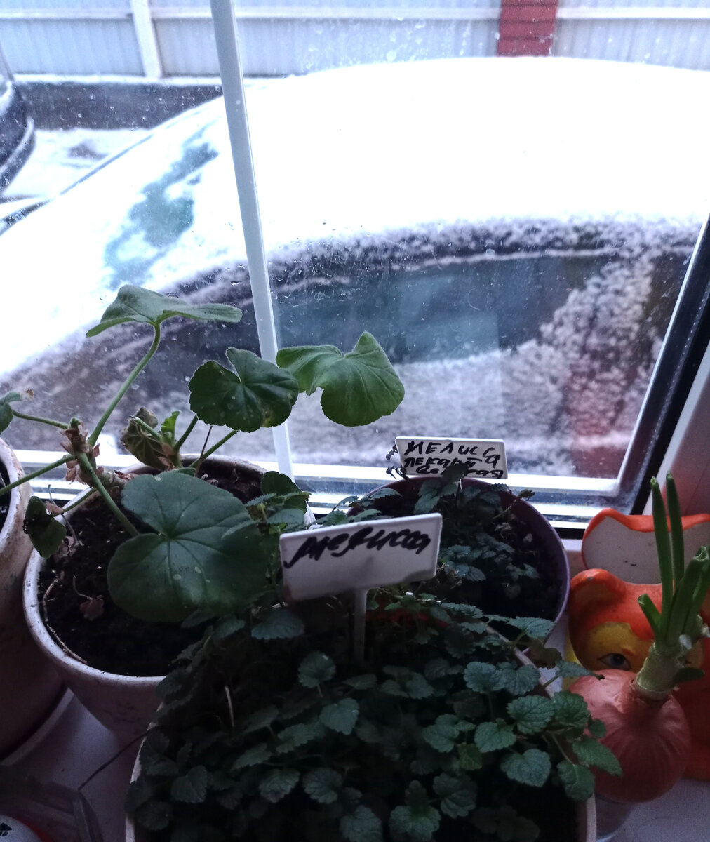 Дома тепло,а во дворе опять зима