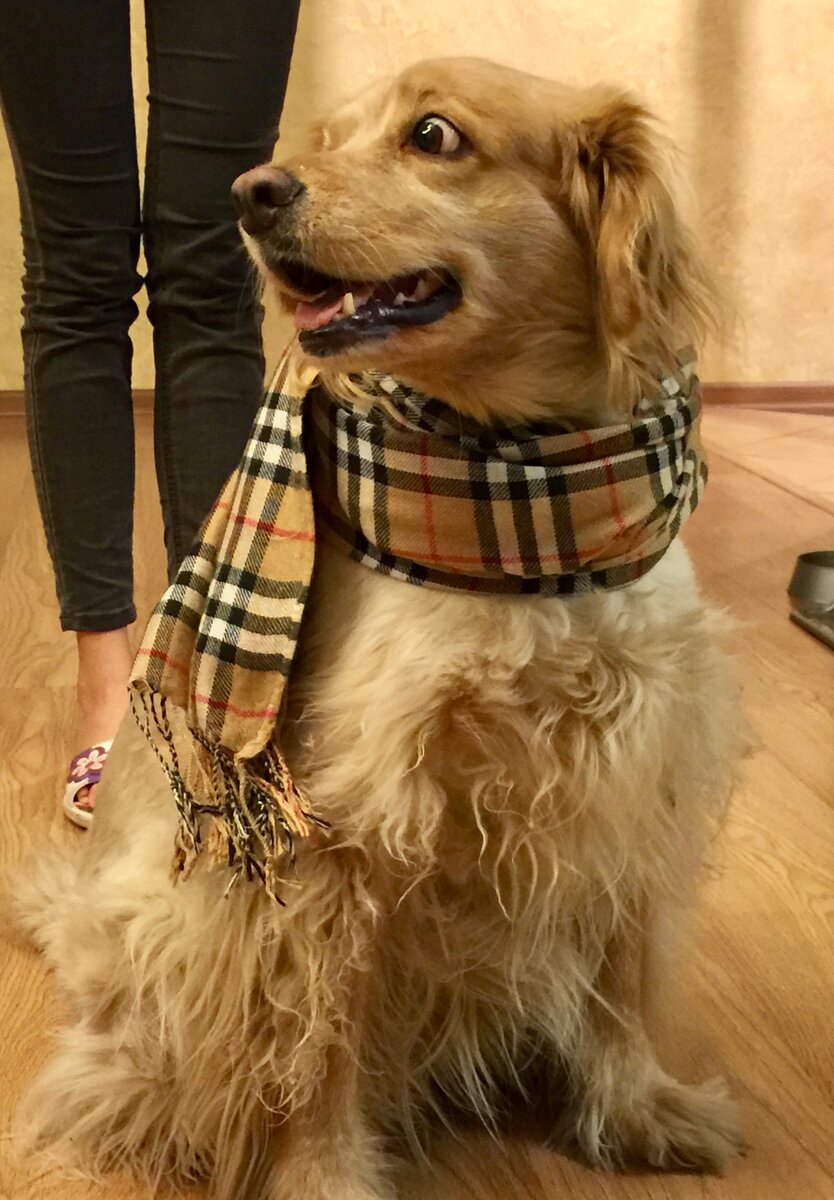 Это наша любовь! Но она уже "на радуге" :(