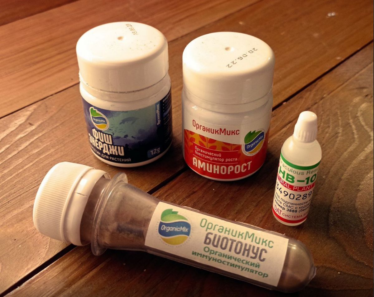 Флорабиса дома не оказалось. Но не откладывать же статью! ;)