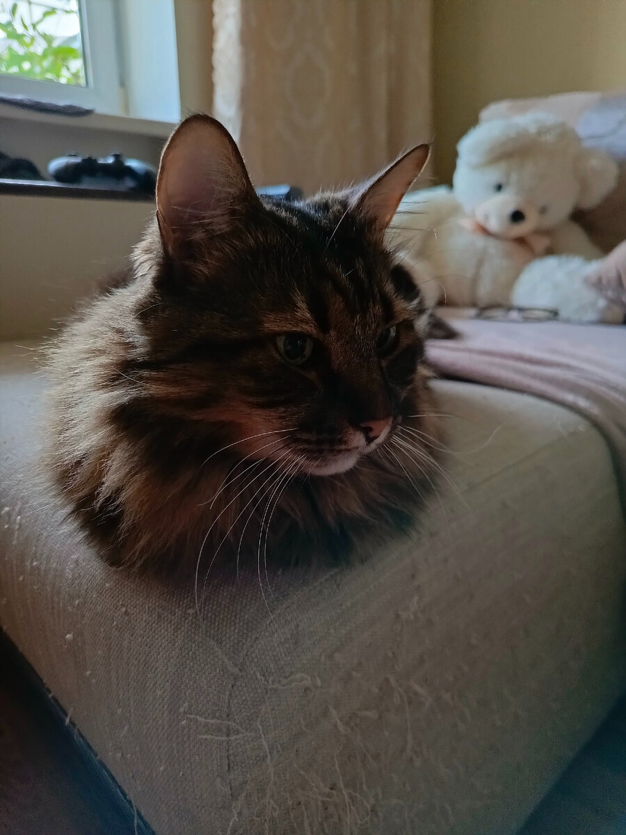 Диван - моя работа