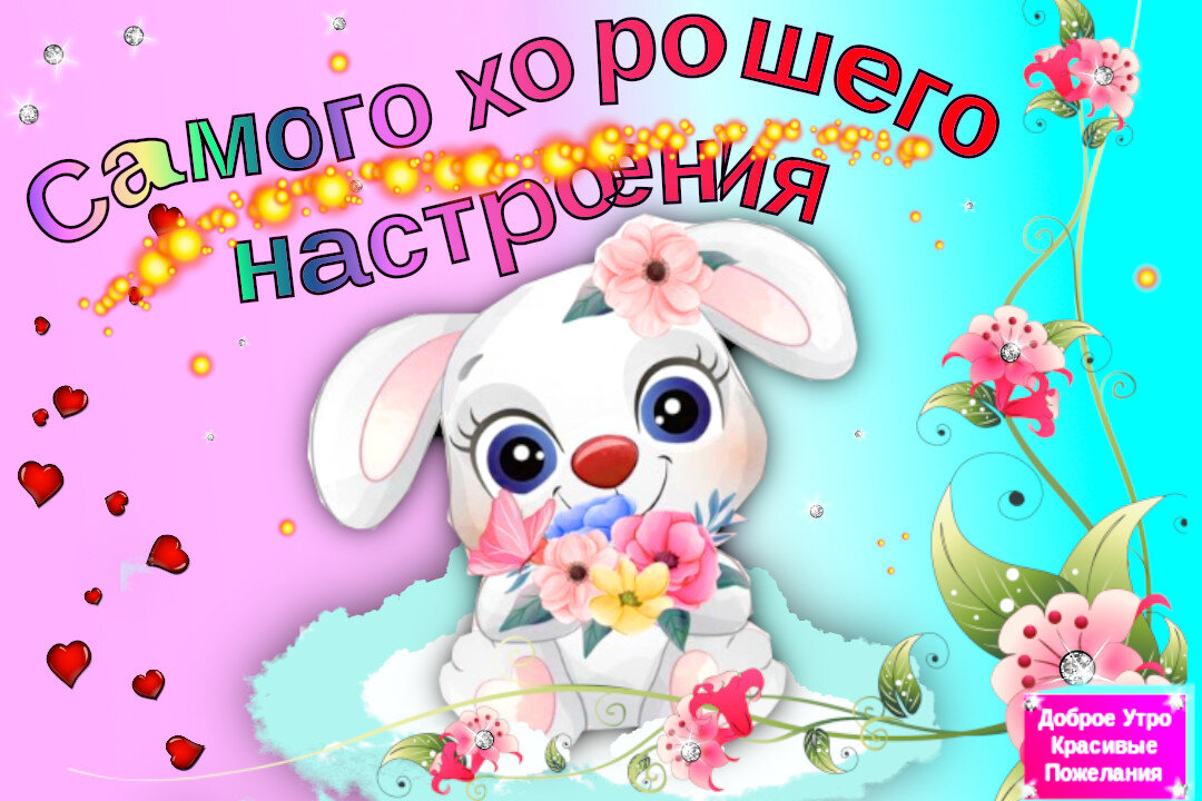 Открытка с пожеланиями самого хорошего настроения от krichushka