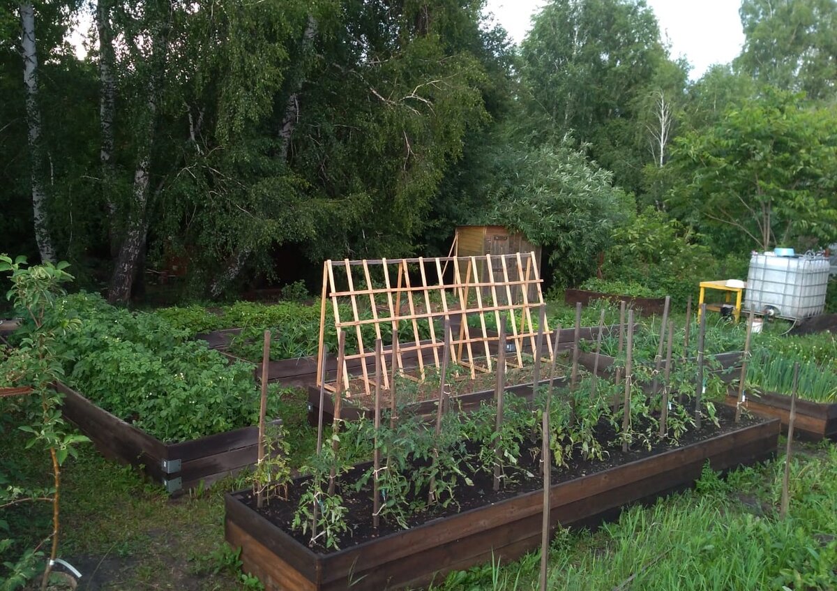 Сезон 2022. Вид с левого верхнего угла со схемы ниже