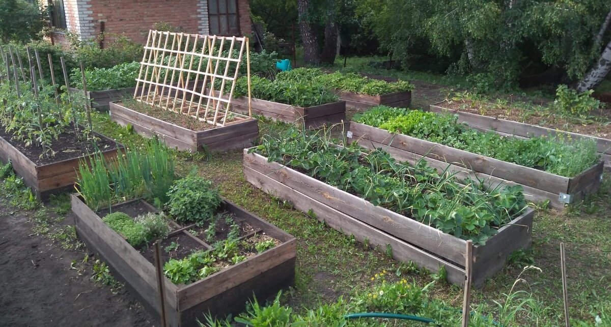 Сезон 2022. Вид с левого нижнего угла со схемы ниже