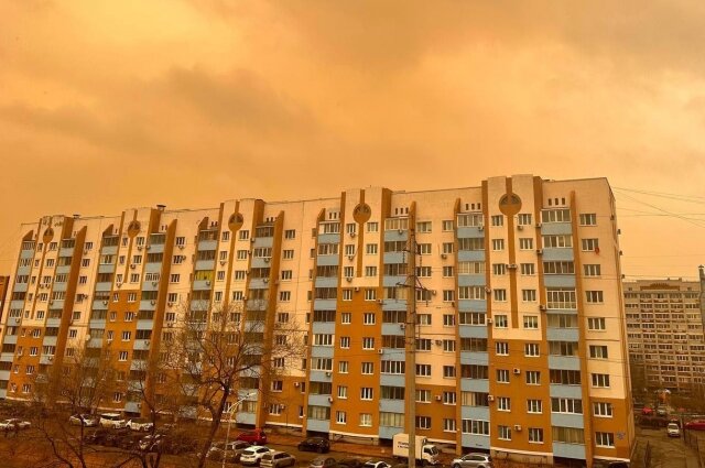    Фото: Telegram-канал BAZA