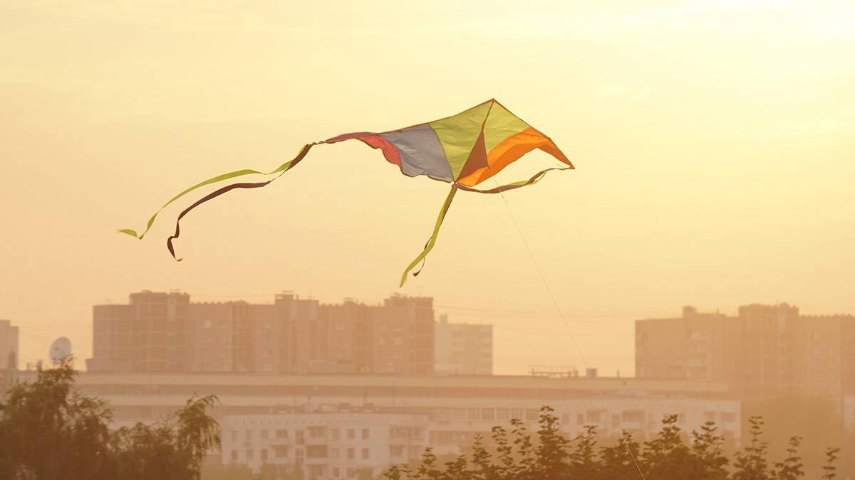    Фото: Анатолий Цымбалюк / Вечерняя Москва