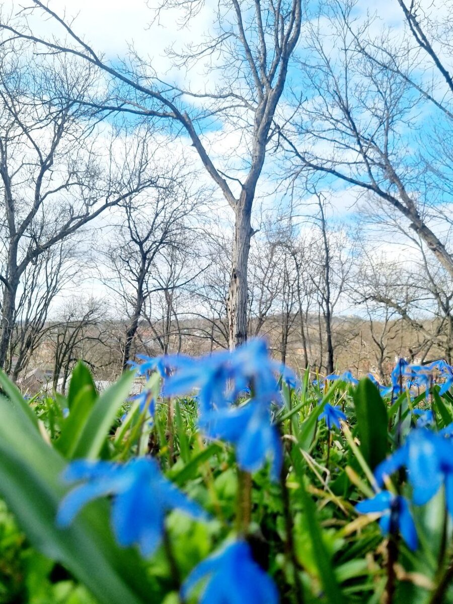 Весны вам в ленту и надежду в душу.