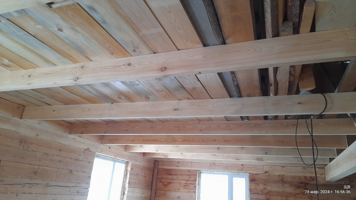 растет потихоньку