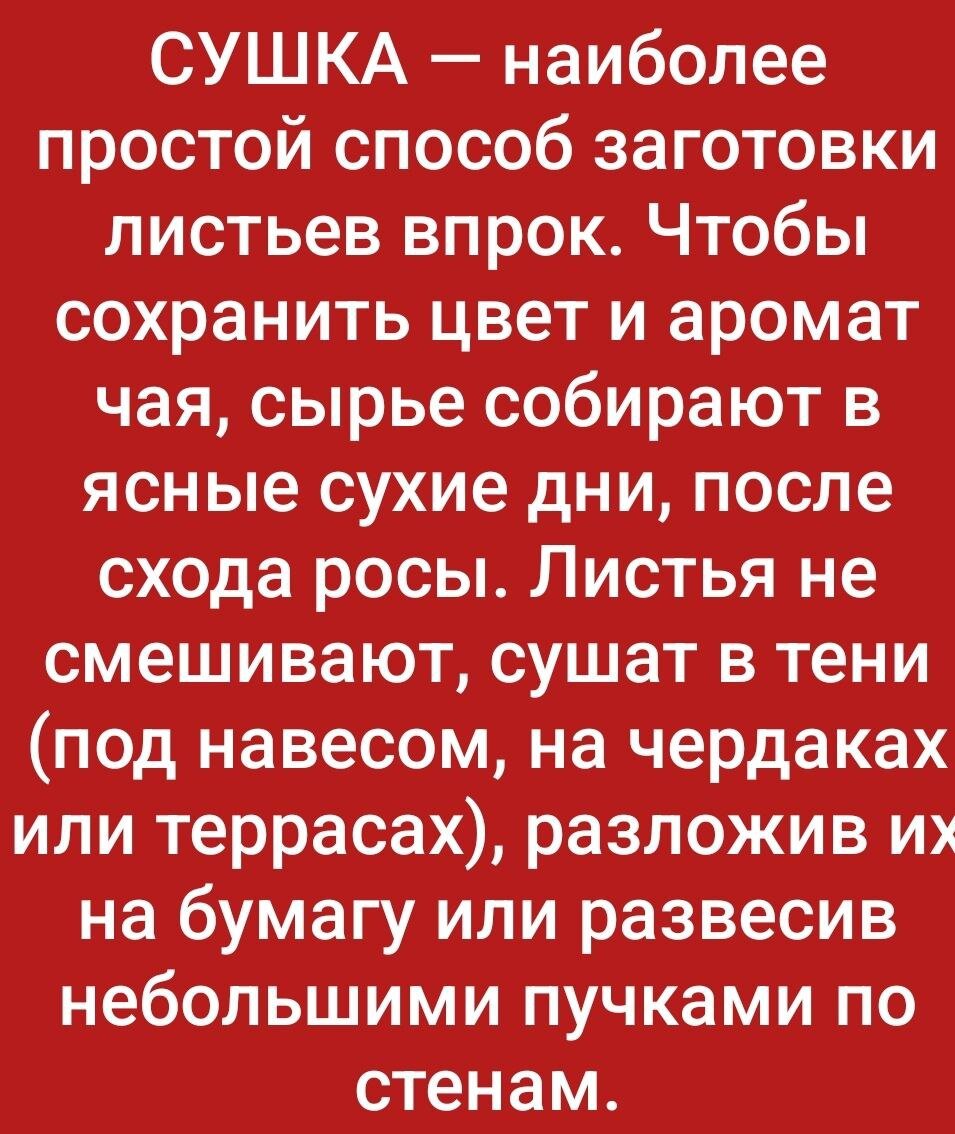 Ведьмёныш. По следам легенды. Про лягушку в молоке, про низкий поклон и про  безъимень | Ведьмины подсказки. Мифы, фэнтези, мистика | Дзен