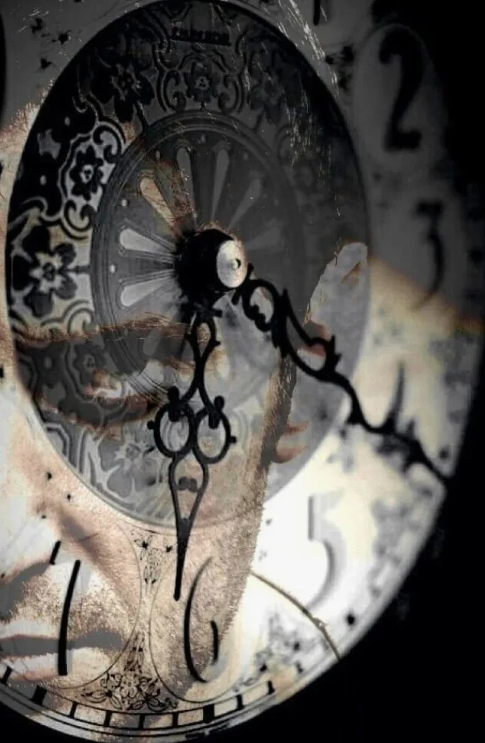 картинки Яндекс