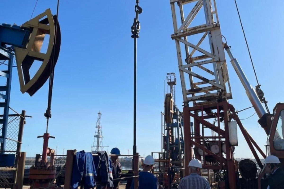    В 2023 году 10 разработок ЗапСибНОЦ испытали и передали в реализацию