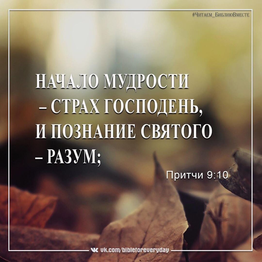 Из открытых источников Яндекса.