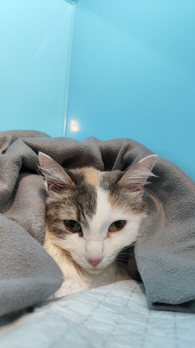 Вот последнее её фото. В клинике вчера вечером.