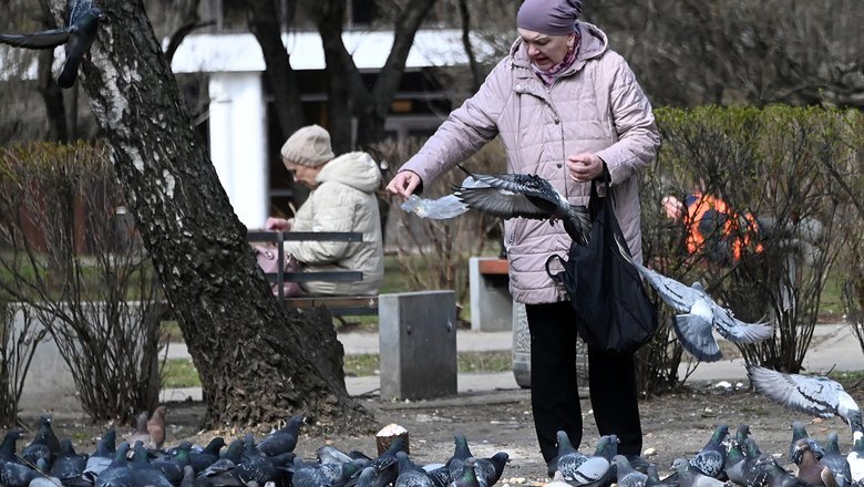 Источник: РИА "Новости"