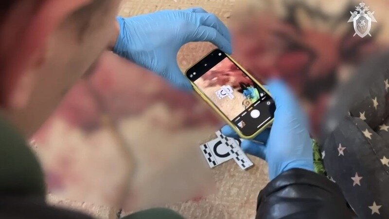      Фото: СУ СКР по Ставропольскому краю