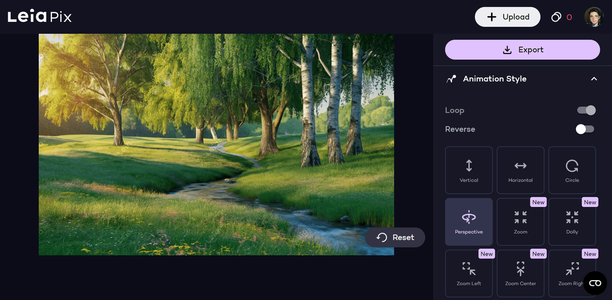 Редактор Leiapix