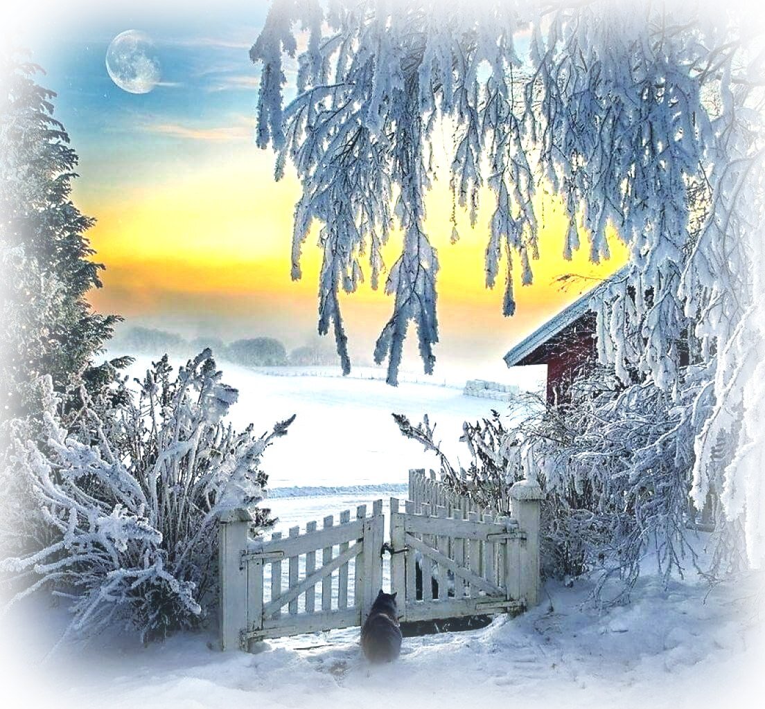 Из открытых источников