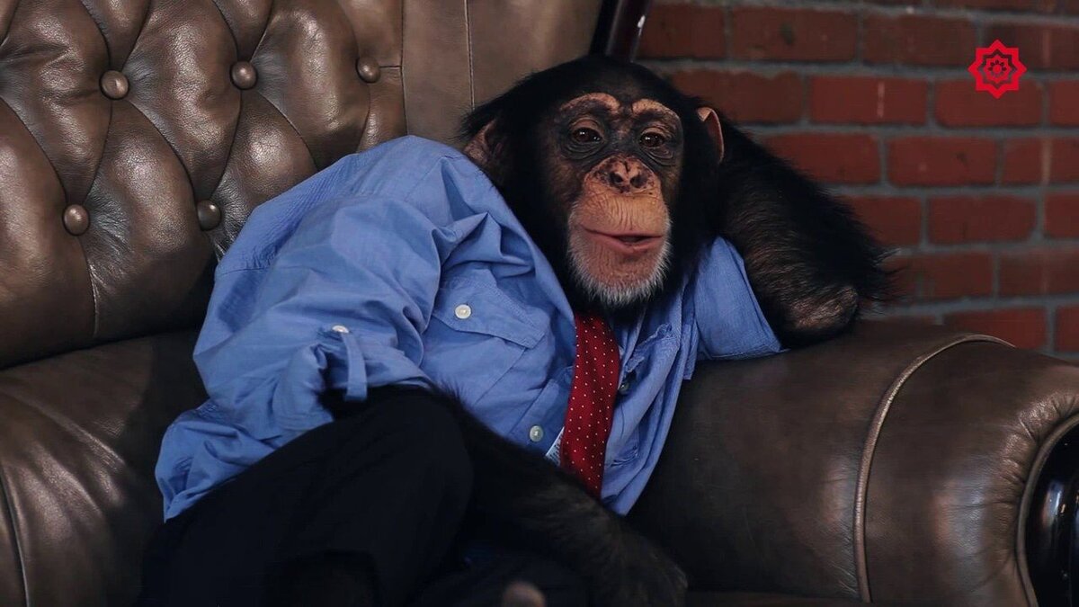 -И все долги я теперь отдам, и отыграться смогу...