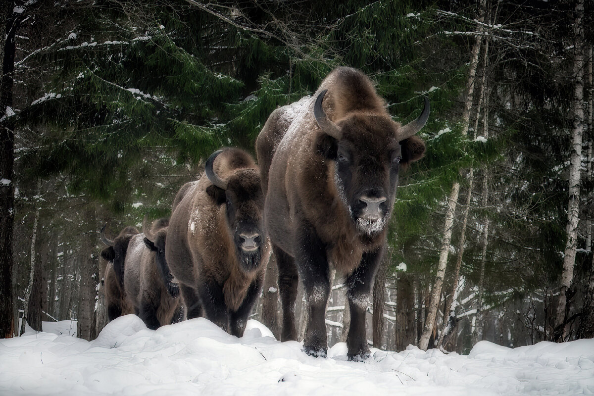 автор фото Виталий Горшков 