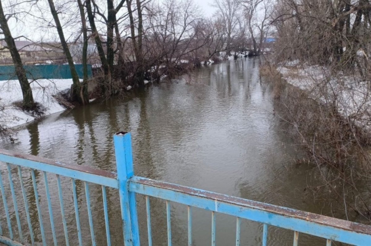    84 жилых дома в Оренбурге оказались затоплены талыми водами