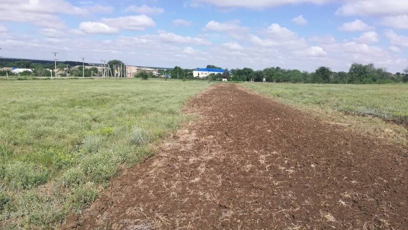    В регионе должны быть обустроены 2,2 тыс. км минерализованных полос Фото: минсельхоз Ставропольского края