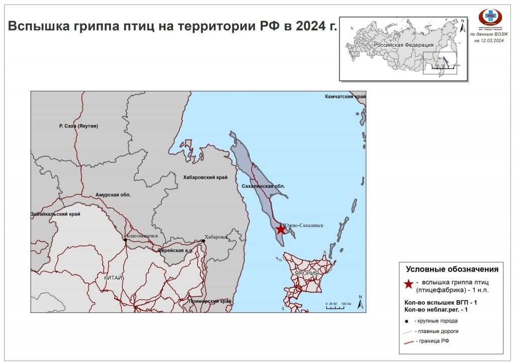  Карта вспышки гриппа птиц в РФ. Фото: Россельхознадзор. Анна Камалова