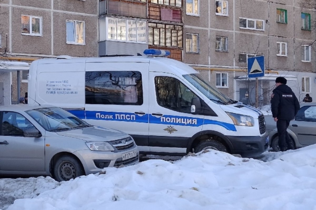    В Перми мать троих детей будут судить за мошенничество с соцвыплатами