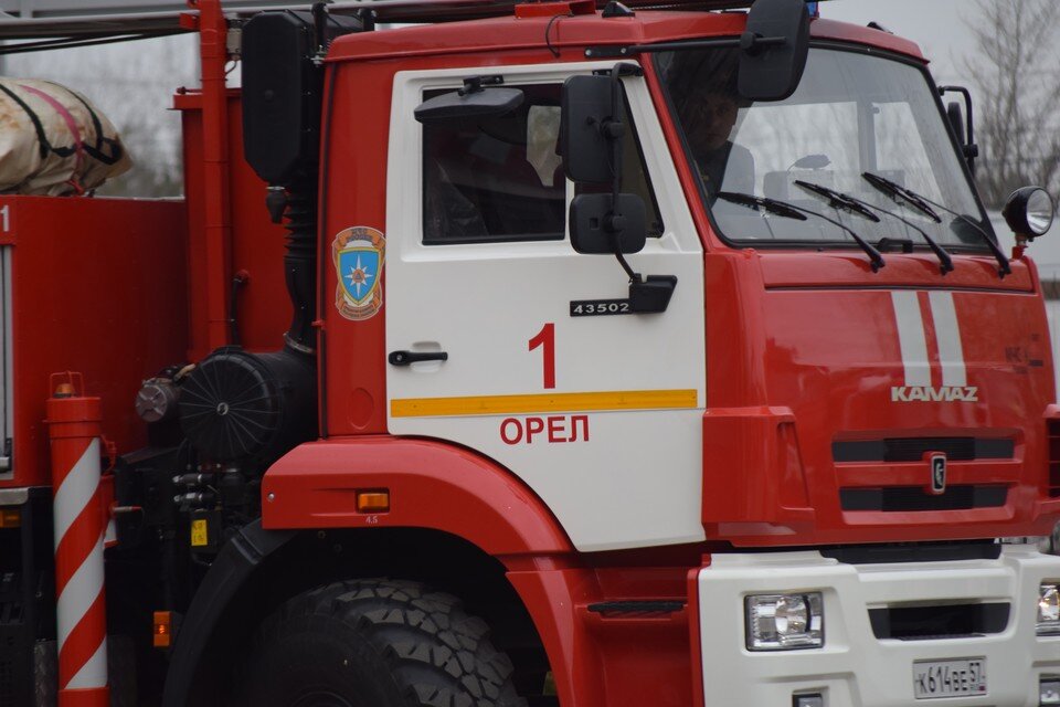    . Елена Зябкина