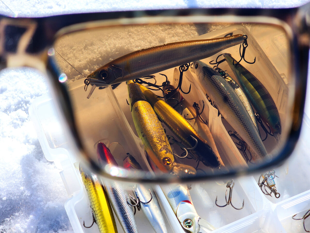 Через хорошие очки можно увидеть правильную приманку не только в коробке, но и в воде) Leech X7 Premium+