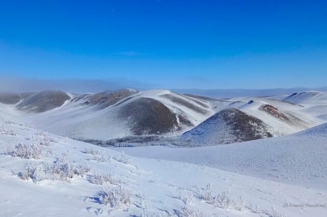    Фото: Заповедники Оренбуржья/ Алексей Каширский