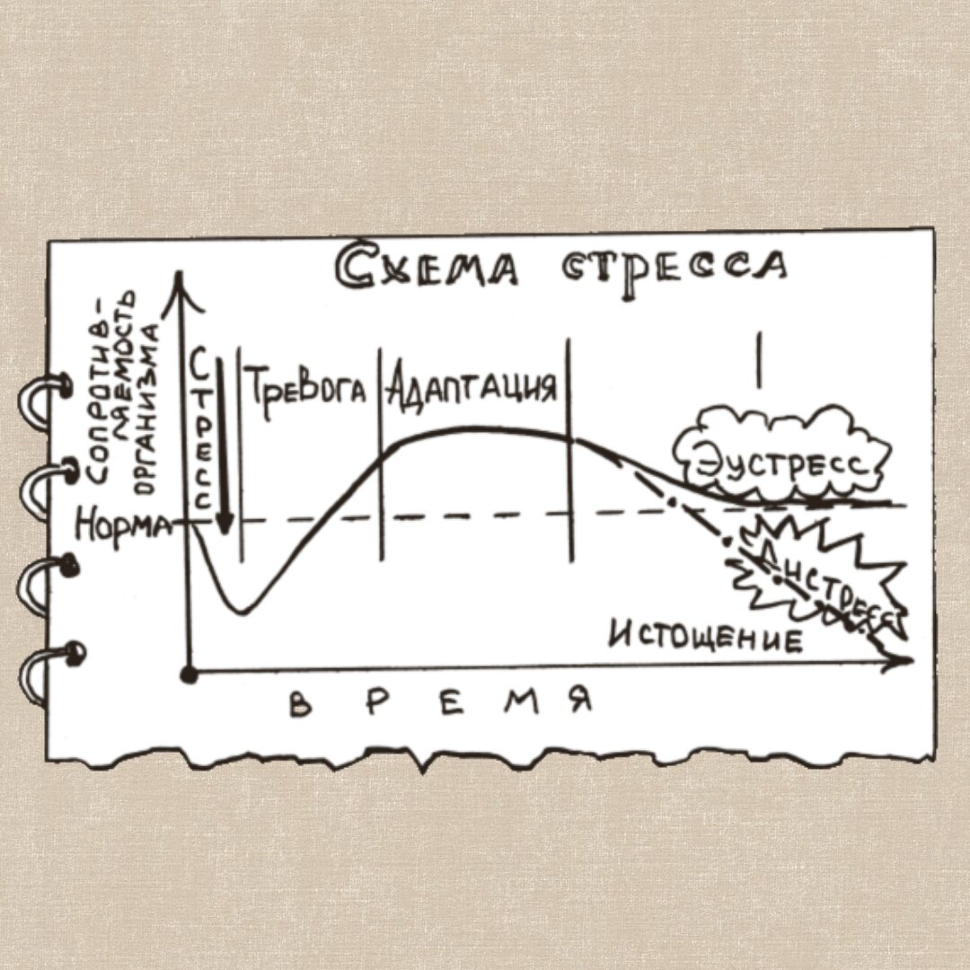 Если сил нет: лучшие стратегии для адаптации к стрессу | Лабиринт | Дзен