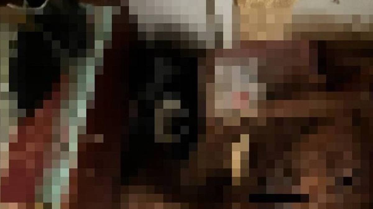    Фото: Пресс-служба ГСУ СК по Москве