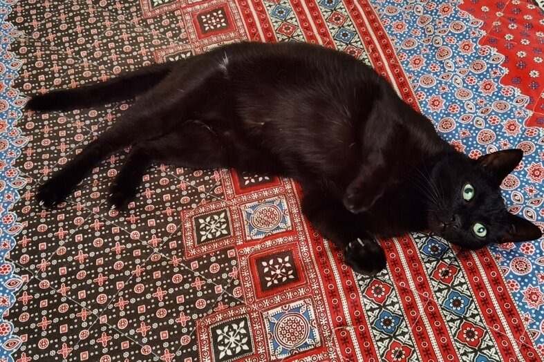 Это 31 октября в Санатории, когда Баба Дуся ещё не начала колошматить остальных