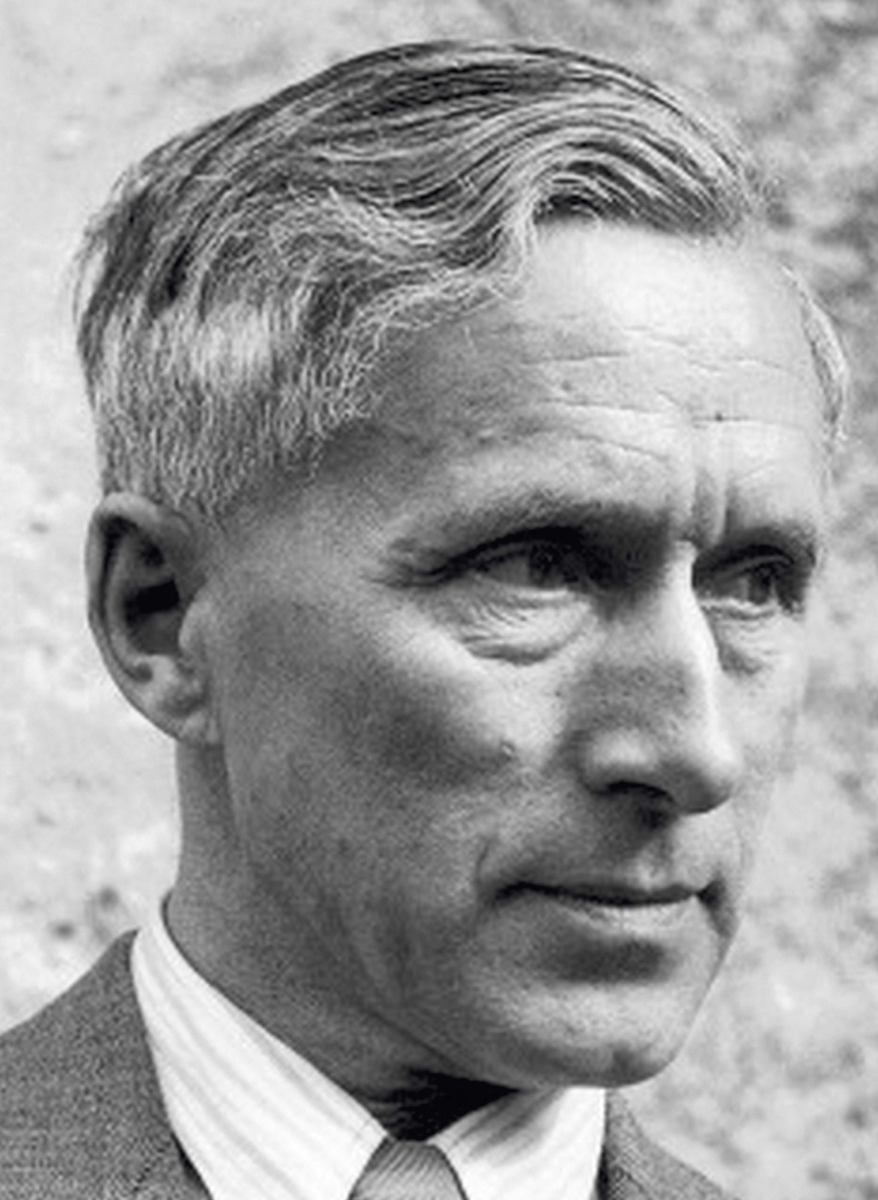 Обложка "Эрнст Юнгер. Отражения"