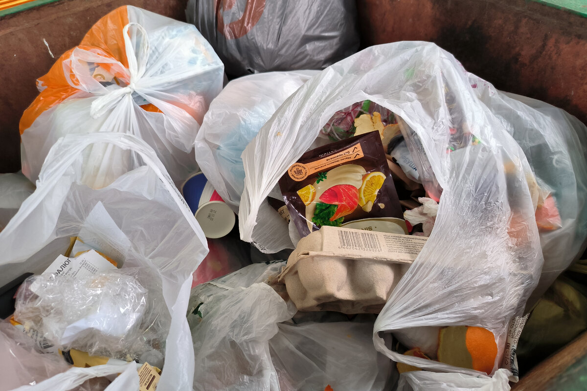 Фото: Maksim Konstantinov / Global Look Press 