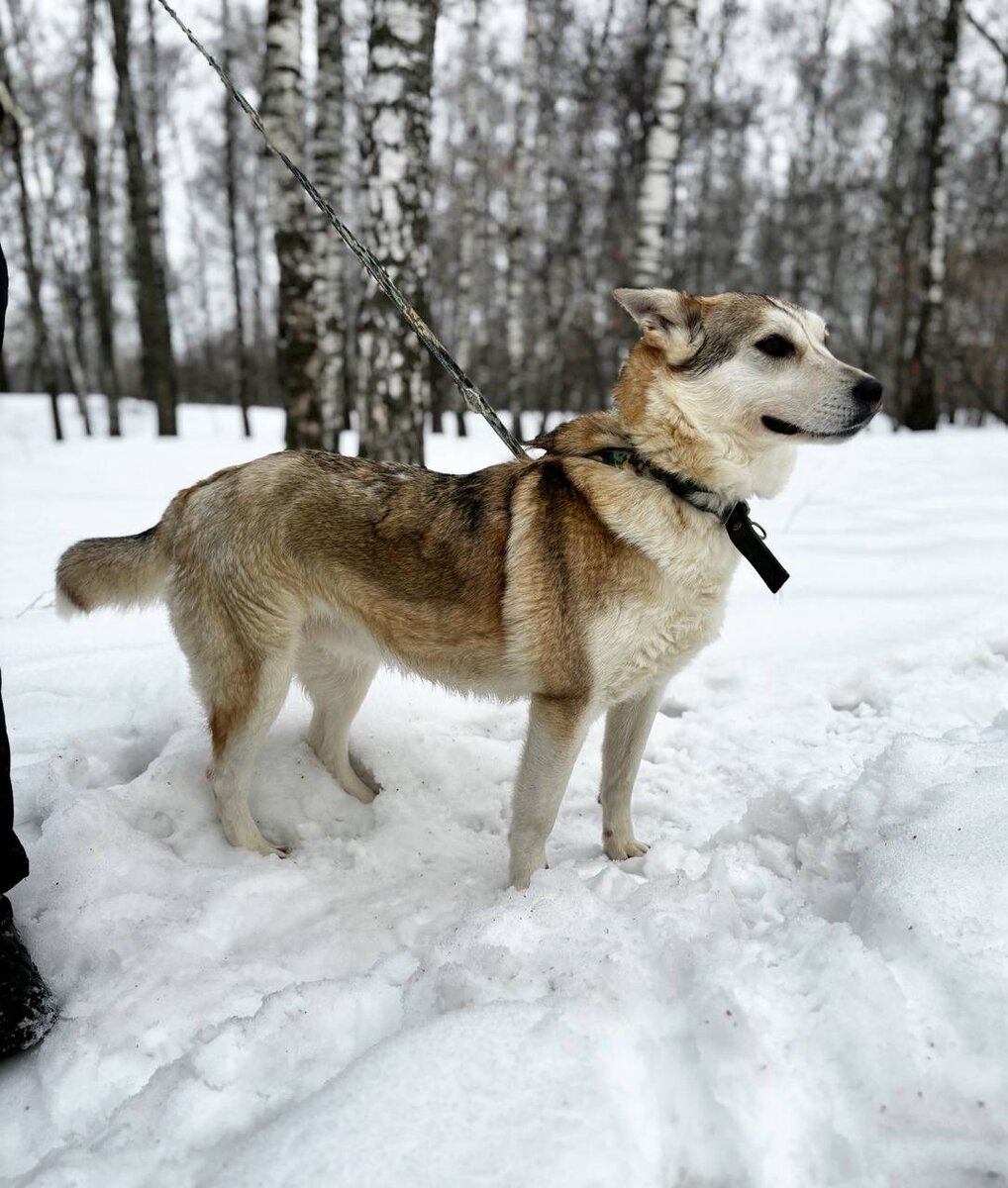 Ей не нужны слова любви, она все поймёт без слов, ваша забота и внимание к ней об этом скажут!-2