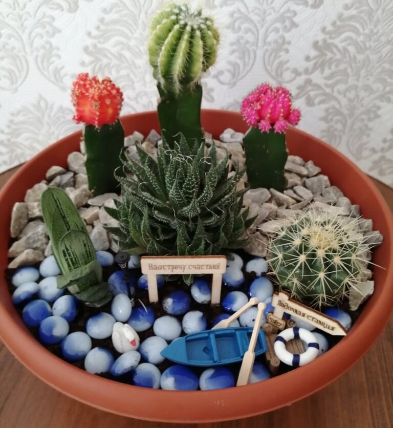 Мини-сад в плошке