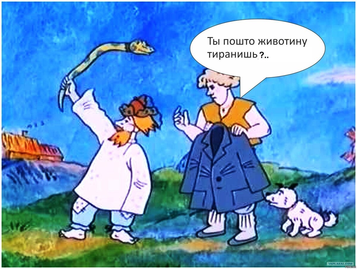 Змеи в воде не кусают» или как расползаются заблуждения | Забытая флешка  пана философа | Дзен