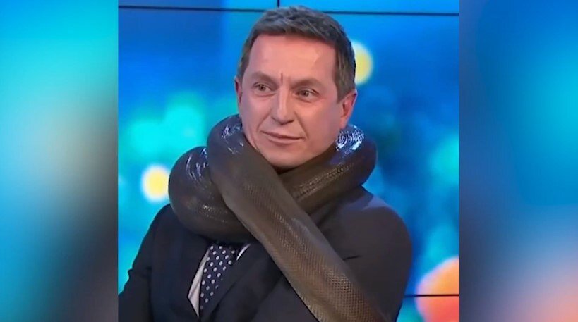 Фото: соцсети